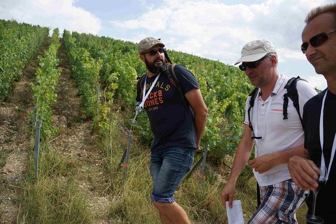 Gourmet Walk in the Heart of the Vineyards With Champagne Tasting Near Epernay - Tour Logistics