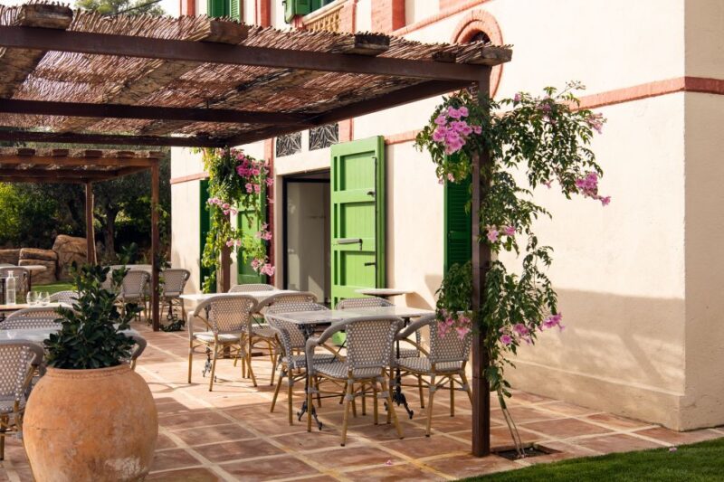 Gourmet Winery Tour: Wine Tasting and 8-Course Gourmet Menu - Key Points