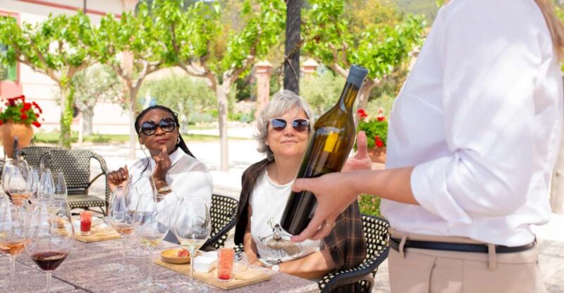 Gourmet Winery Tour: Wine Tasting and 8-Course Gourmet Menu - Winery Exploration