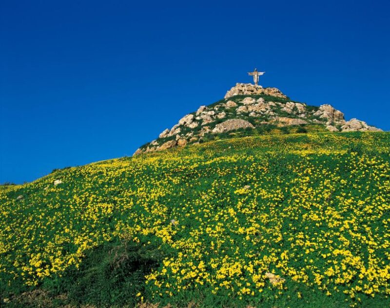 Gozo Day Pass Ferry and Hop-On Hop-Off Buses With Audio Tour - Key Points