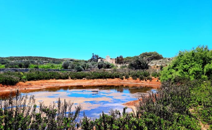 Gozo Unveiled: Guided Hiking in Comino Island - Stunning Natural Formations