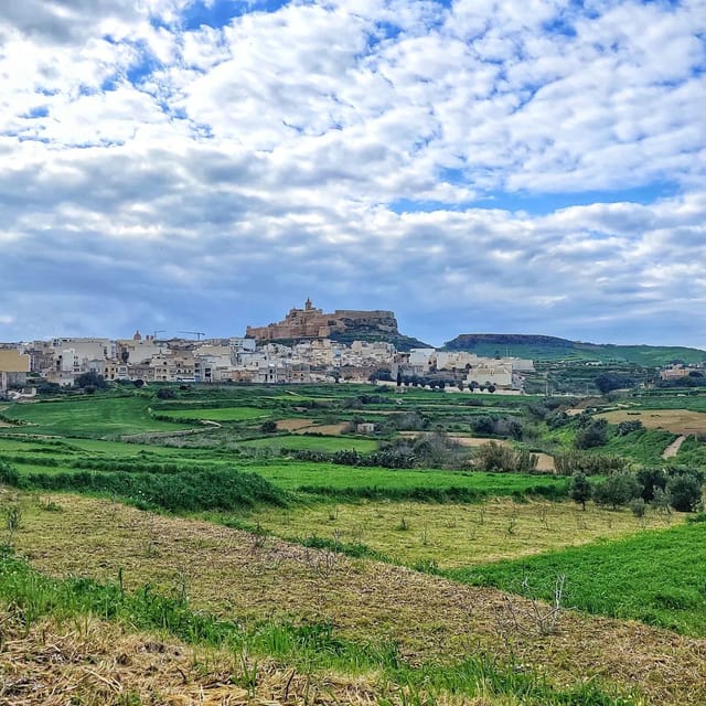 Gozo Wine and Food Tasting - Customer Feedback