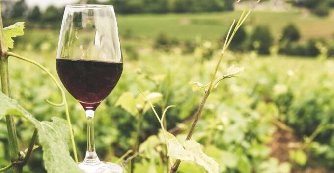 Gozo Wine and Food Tasting - Traditional Winemaking