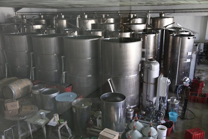 Gozo Wine and Food Tasting - Exploring the Winery