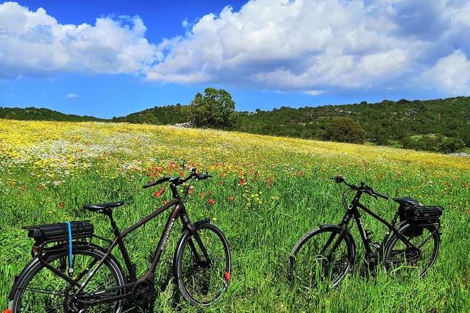 GPS Self Guide Alberobello and Masseria + Mozzarella and Focaccia Tastings by E-Bike - Trulli of Alberobello and UNESCO Site