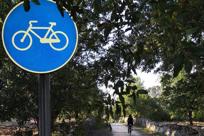 GPS Tour With E-Bike on Cycleroute of Acqueduct Pugliese With Wine Tasting Directly in Vineyards - Inclusions and Accessibility