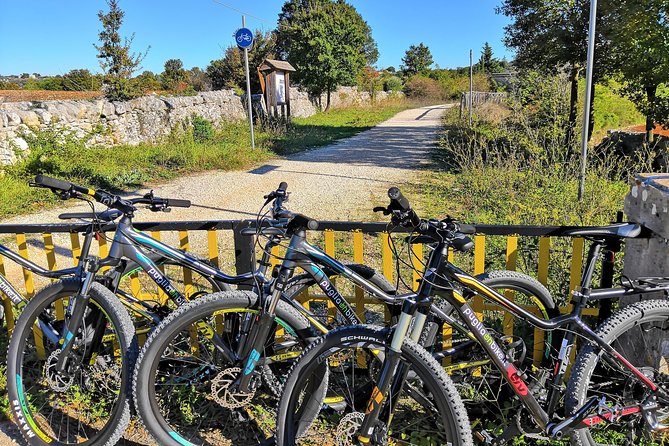GPS Tour With E-Bike on Cycleroute of Acqueduct Pugliese With Wine Tasting Directly in Vineyards - Traveler Reviews and Feedback