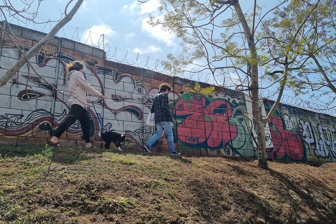 Graffiti Walking Tour in 4 Grados Norte Guatemala City - Pricing and Cancellation