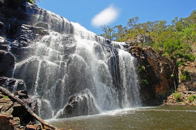 Grampians National Park Small-Group Eco Tour From Melbourne - Silverband Falls Bushwalk