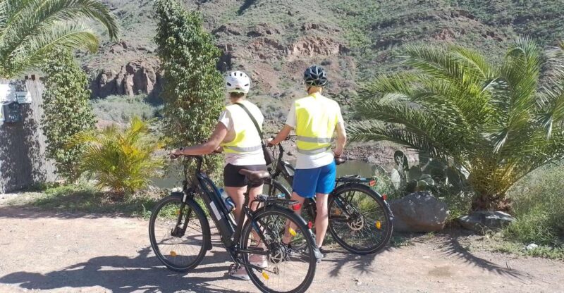 Gran Canaria: 1-7 Day E-Bike Rental 80 Km Battery Life - Transporting Children on the E-Bike
