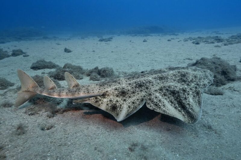Gran Canaria: 3-Day Open Water Diver Course - Certification and Location