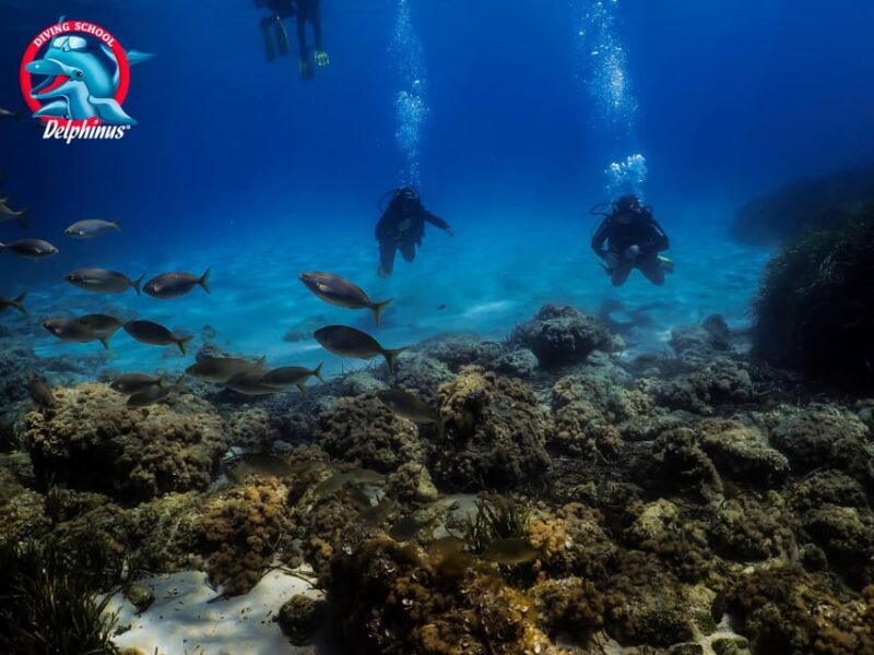 Gran Canaria: 3-Day Open Water Diver Course - Instructors and Languages