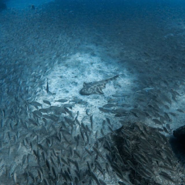 Gran Canaria: 3-Day Open Water Diver Course - Frequently Asked Questions