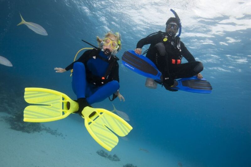 Gran Canaria: 3-Day PADI Open Water Diver Course - Course Components