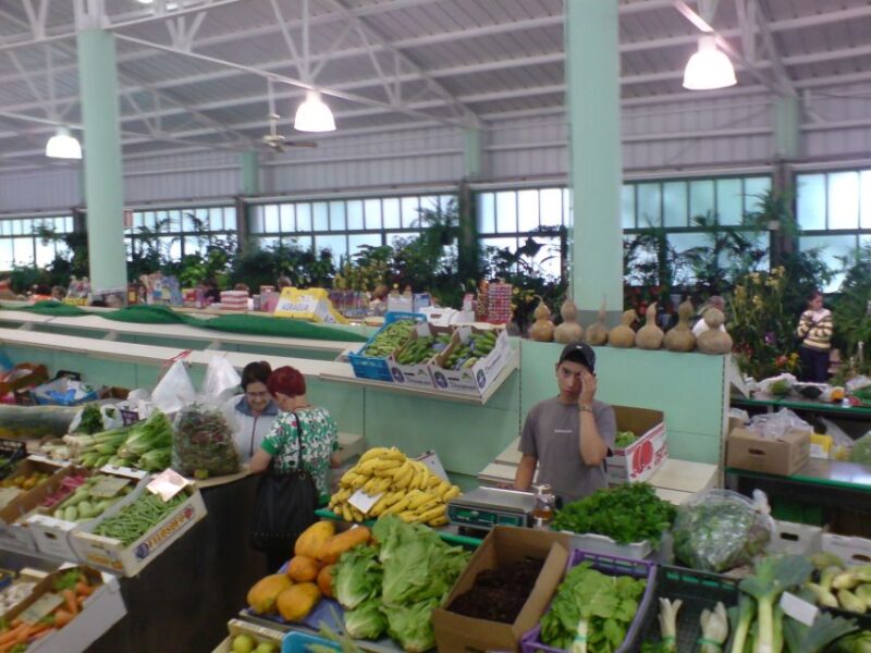 Gran Canaria: 6-Hour Teror and San Mateo Markets Tour - Customer Feedback and Ratings