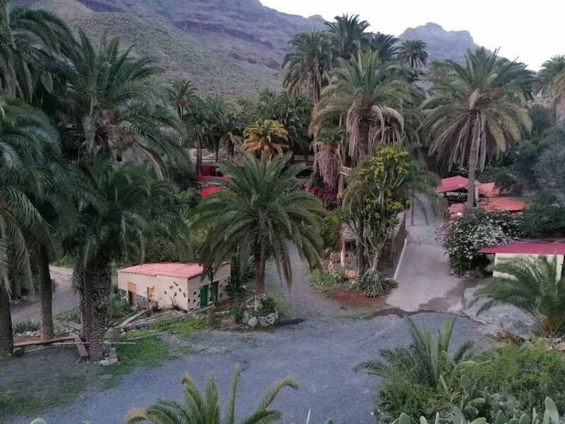 Gran Canaria: Camel Ride at Camel Safari Park - Customer Ratings and Feedback