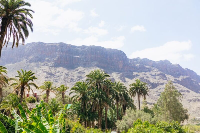 Gran Canaria: Camel Ride Safari W/ Optional Food & Transport - Key Points