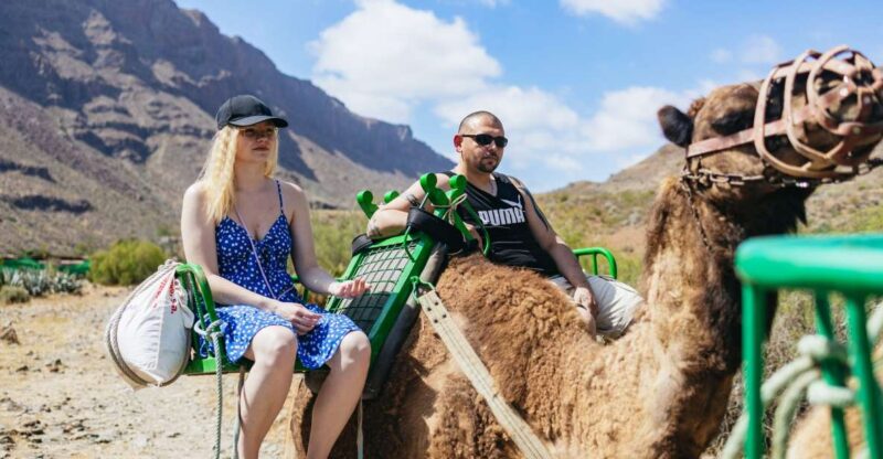 Gran Canaria: Camel Ride Safari W/ Optional Food & Transport - Itinerary and Experience