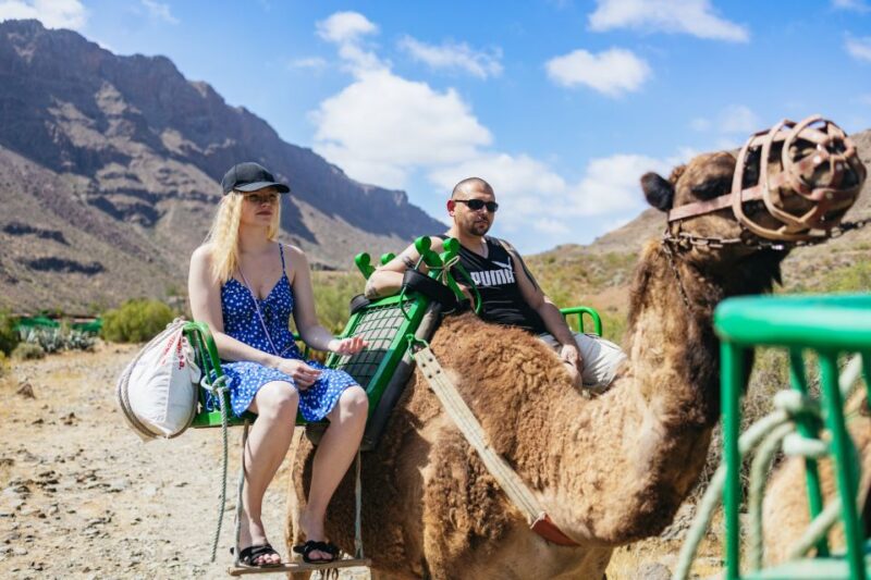 Gran Canaria: Camel Ride Safari W/ Optional Food & Transport - Transportation and Accessibility