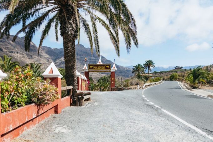 Gran Canaria: Camel Ride Safari W/ Optional Food & Transport - Optional Tapas Meal