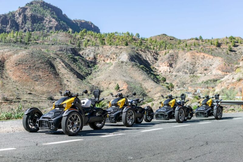 Gran Canaria: Can-Am Ryker 3-Wheel Motorcycle Experience - What to Bring and Restrictions