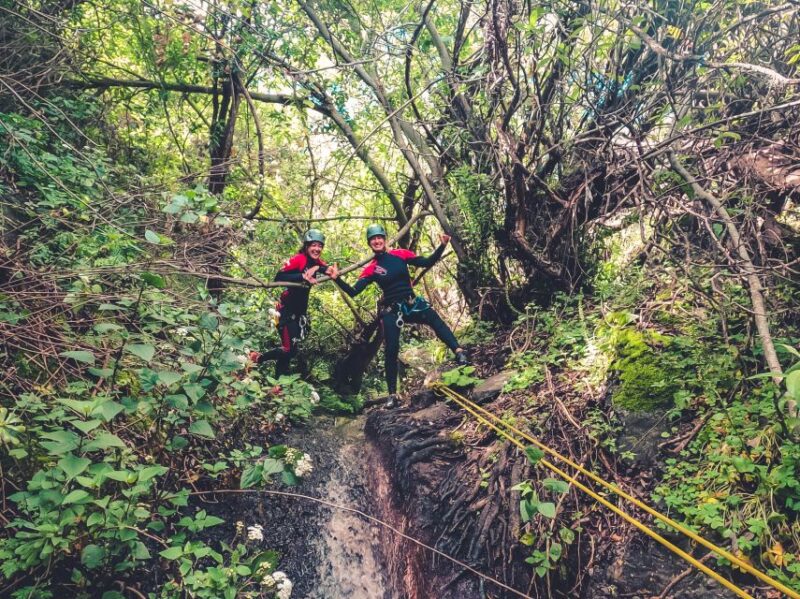 Gran Canaria: Canyoning in the Rainforest - Adventure in the Canyons