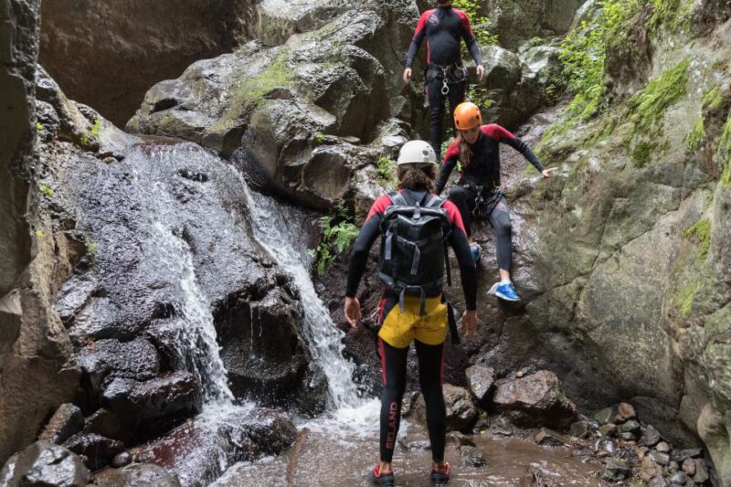 Gran Canaria: Canyoning in the Rainforest - Adrenaline-Filled Activities