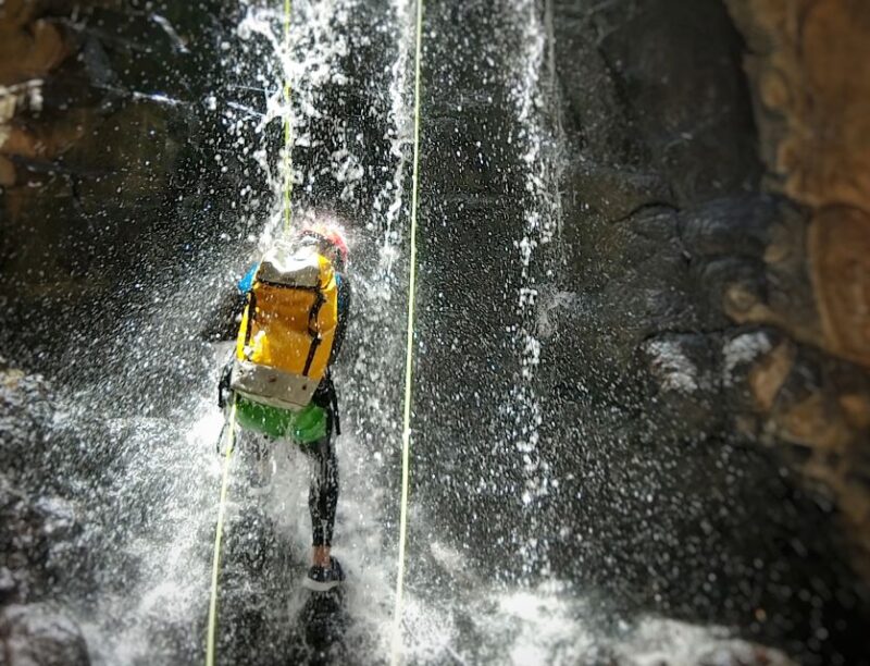 Gran Canaria: Canyoning Trip - Suitable for All Skill Levels