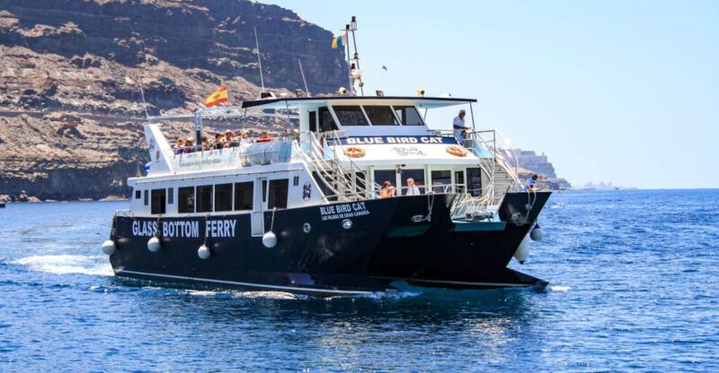 Gran Canaria: Catamaran Dolphin Watch Cruise With Snorkeling - Inclusions and Exclusions