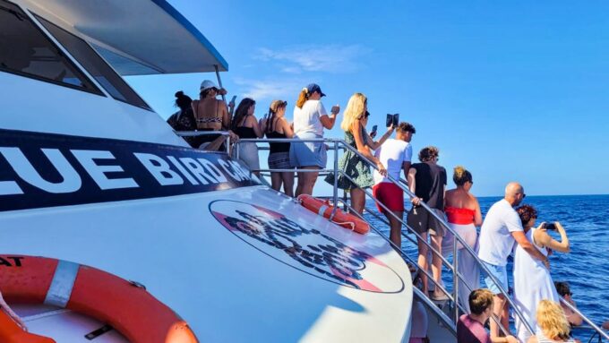 Gran Canaria: Catamaran Dolphin Watch Cruise With Snorkeling - Frequently Asked Questions