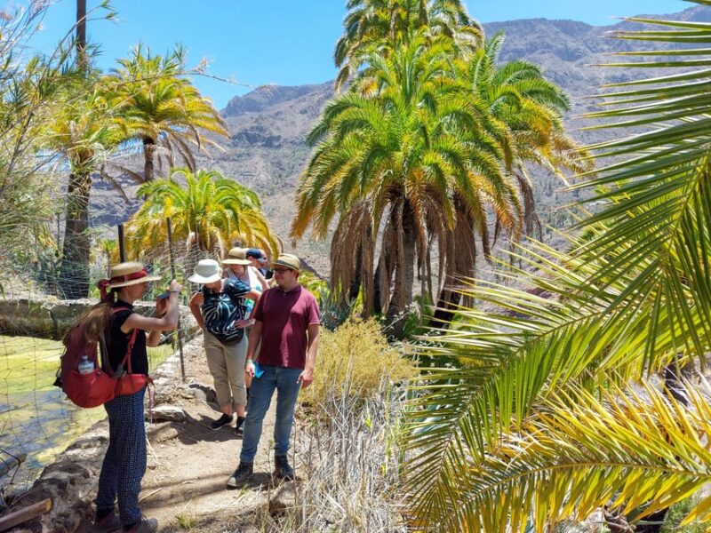 Gran Canaria Cave, Oasis, Red-Gorge Adventure & Cosy Picnic - Cultural Insight
