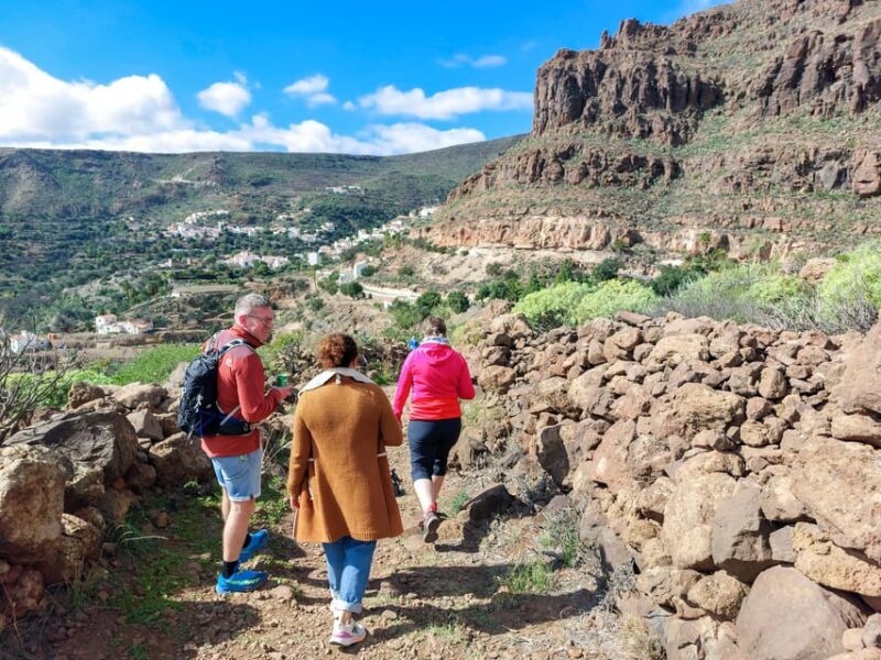 Gran Canaria Cave, Oasis, Red-Gorge Adventure & Cosy Picnic - Picnic Experience