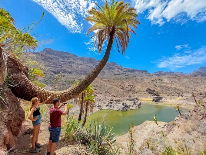 Gran Canaria Cave, Oasis, Red-Gorge Adventure & Cosy Picnic - Cancellation Policy