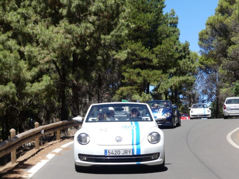Gran Canaria: Convertible Beetle Tour - Winding Mountain Roads and Valleys
