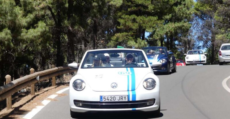 Gran Canaria: Convertible Beetle Tour - Climbing to Breathtaking Altitudes