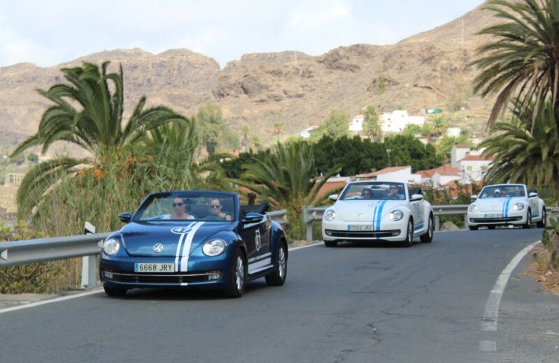 Gran Canaria: Convertible Beetle Tour - Convertible Beetle Experience