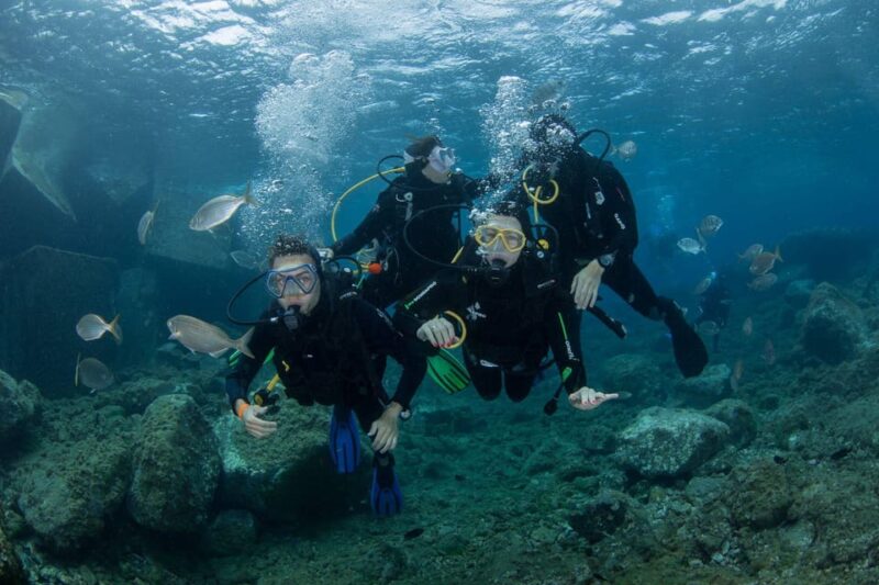 Gran Canaria: Discover Scuba Diving Beginner Program - Included Experiences