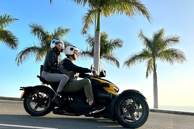 Gran Canaria Discover the Coast Tour - Pricing Information