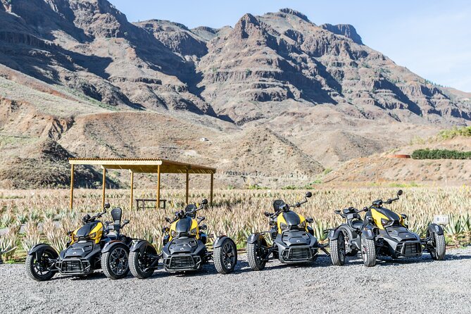 Gran Canaria Discover the Mountain Tour - Traveler Reviews