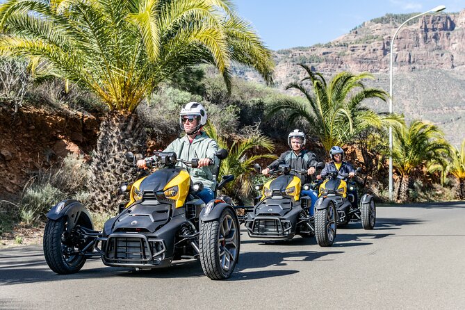 Gran Canaria Discover the Mountain Tour - Getting There