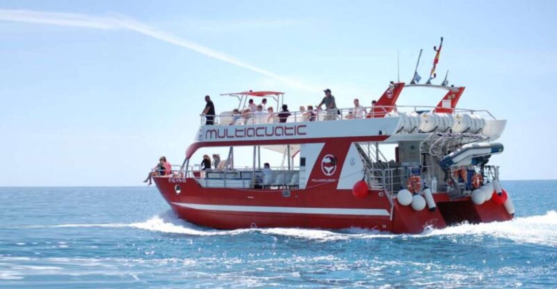 Gran Canaria: Dolphin and Whale Watching Cruise - Booking Details