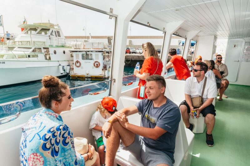 Gran Canaria: Dolphin and Whale Watching Cruise - Key Points