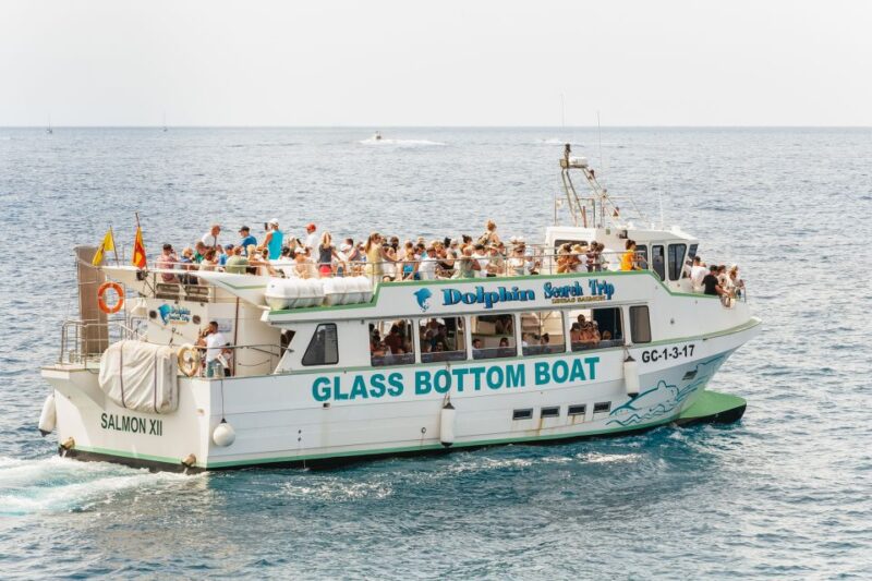 Gran Canaria: Dolphin and Whale Watching Cruise - Customer Reviews and Ratings