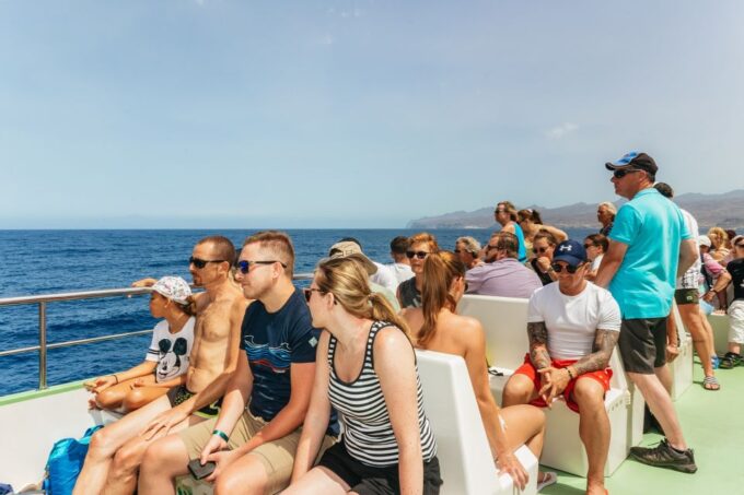 Gran Canaria: Dolphin and Whale Watching Cruise - Languages Offered