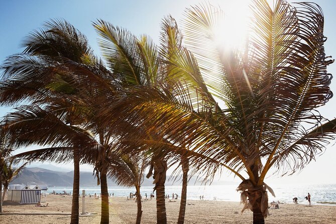 Gran Canaria Easy North Half Day Tour - Cancellation Policy