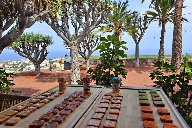 Gran Canaria Easy North Half Day Tour - Traveler Experiences