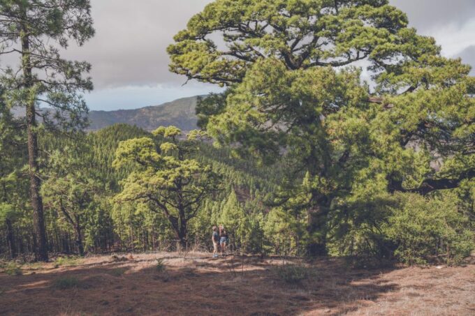 Gran Canaria: Full-Day Customizable Private Photography Tour - Frequently Asked Questions