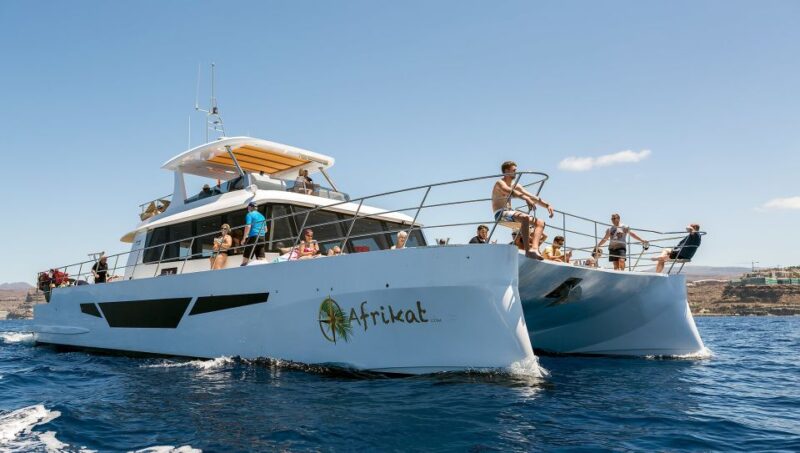 Gran Canaria: Fun Catamaran Cruise With Food and Drinks - Onboard Activities