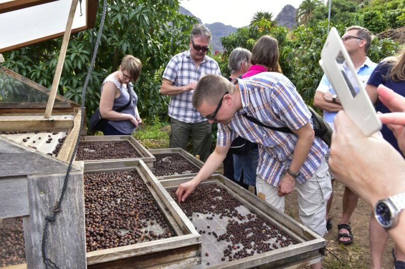 Gran Canaria: Grand Island Tour by Bus With Transfers - Guided Tour Highlights