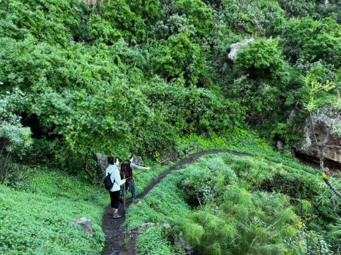 Gran Canaria: Green Witchcraft in the Magic Island - Meeting Point and Pickup